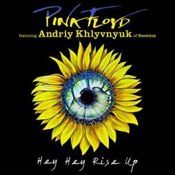 Hey Hey Rise Up di Pink Floyd - 45giri