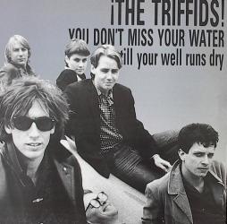 You_Don't_Miss_Your_Water_-The_Triffids