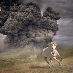Year Of The Dark Horse  di White Buffalo - CD
