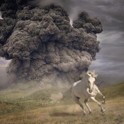 Year_Of_The_Dark_Horse_-White_Buffalo_