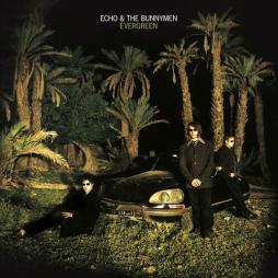 Evergreen_Anniversary_Edition_-Echo_&_The_Bunnymen