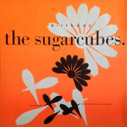 Birthday_-Sugarcubes