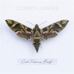 Such Ferocious Beauty di Cowboy Junkies - CD