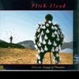 Delicate_Sound_Of_Thunder_-Pink_Floyd