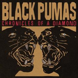 Chronicles_Of_A_Diamond_-Black_Pumas