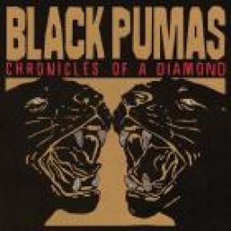 Chronicles_Of_A_Diamond-Black_Pumas