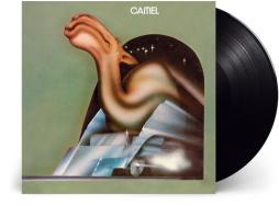 Camel_-Camel Camel_-Camel