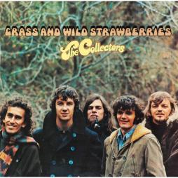 Grass And Wild Strawberries di The Collectors - CD