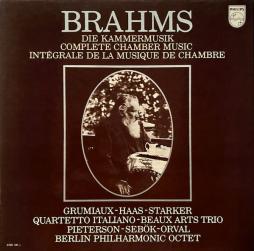 Musica Da Camera (15LP) di Brahms Johannes (1833-1897) - CD