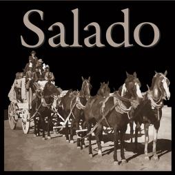 Salado di Richard Paul Thomas  - CD