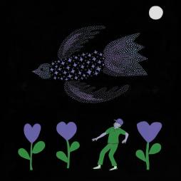The Purple Bird di Bonnie "prince" Billy - LP