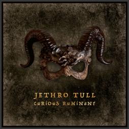 Curious Ruminant di Jethro Tull - CD Curious Ruminant di Jethro Tull - CD