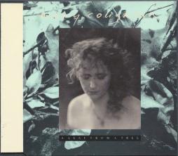 A Leaf From A Tree di Mary Coughlan - MiniCD