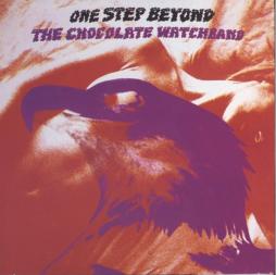 One_Step_Beyond-Chocolate_Watch_Band