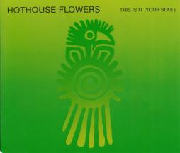 This Is It (Your Soul) di Hothouse Flowers - 