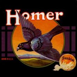 Grown In USA di Homer (8) - CD