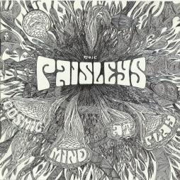 Cosmic_Mind_At_Play-The_Paisleys Cosmic_Mind_At_Play-The_Paisleys