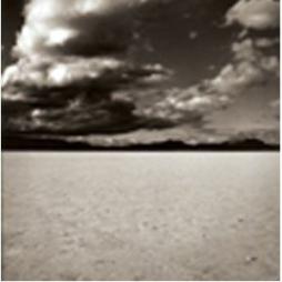 Not Yet Fire di Peace Harbor - CD