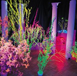 Warehouse: Songs And Stories di Hüsker Dü - CD