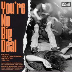 You%E2%80%99re_No_Big_Deal_Grunge%2C_The_U.S._Underground_And_Beyond_1984-1994-Various You%E2%80%99re_No_Big_Deal_Grunge%2C_The_U.S._Underground_And_Beyond_1984-1994-Various