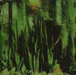 Wood/Water di Promise Ring, The - CD