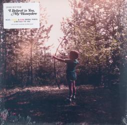 I Believe In You, My Honeydew di Josh Ritter - LP I Believe In You, My Honeydew di Josh Ritter - LP