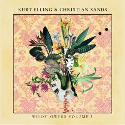 Wildflowers Volume 3 di Kurt Elling