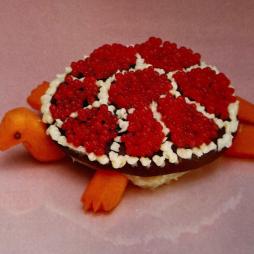 Turtle Rock di Sharp Pins