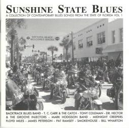 Sunshine State Blues  -  A Collection Of Contemporary Blues Songs From The State Of Florida Vol. 1 di Various - CD