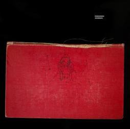 Amnesiac di Radiohead - LP