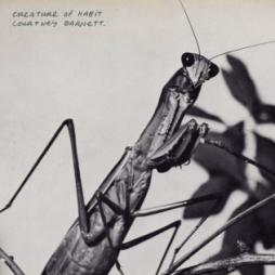 Creature Of Habit di Courtney Barnett - CD