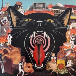 Cat Out Of Hell di Fantastic Cat (2) - LP