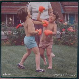 Flying Dream 1 di Elbow - LP