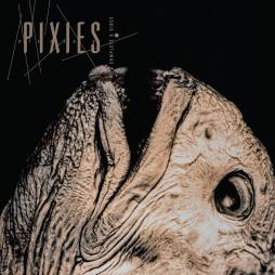 Complete B Sides 1988 -97 di Pixies - CD