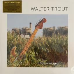 Common Ground di Walter Trout - LP 
