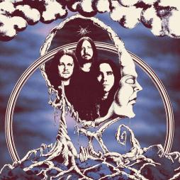 Primitive Ring di Primitive Ring - LP