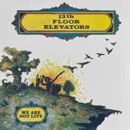 We Are Not Live di 13th Floor Elevators - LP