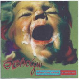 When The Sweet Turns Sour di Echolyn - CD