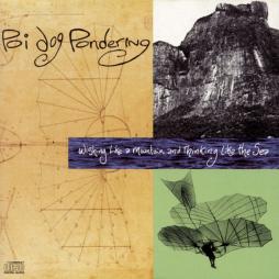 U Li La Lu di Poi Dog Pondering - CD