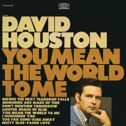 You Mean The World To Me di David Houston - LP