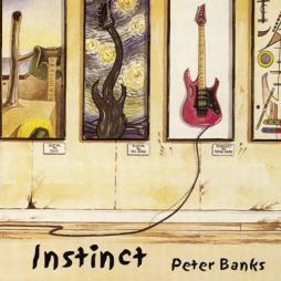 Instinct di Peter Banks