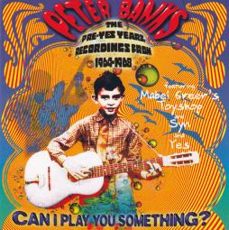 Can I Play You Something? di Peter Banks