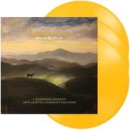 Dreams & Songs di Warren Haynes - LP