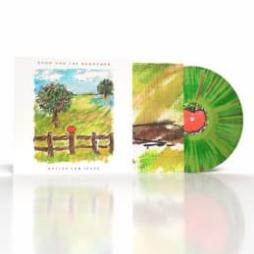 Apples For Isaac di Echo &amp; The Bunnymen - LP