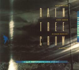 Blackwater di Rain Tree Crow - CD