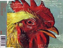Watery, Domestic di Pavement - CD