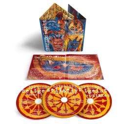 Zeitgeist 30th Anniversary di The Levellers  - CD