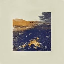 Embracing The Unknown di Davide Cedolin - LP