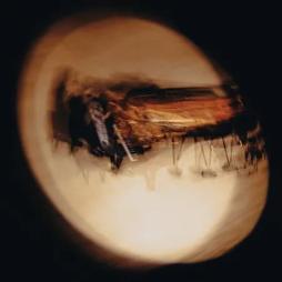 Live At Carnegie Hall di Cameron Winter - CD