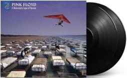 A Momentary Lapse Of Reason di Pink Floyd - LP